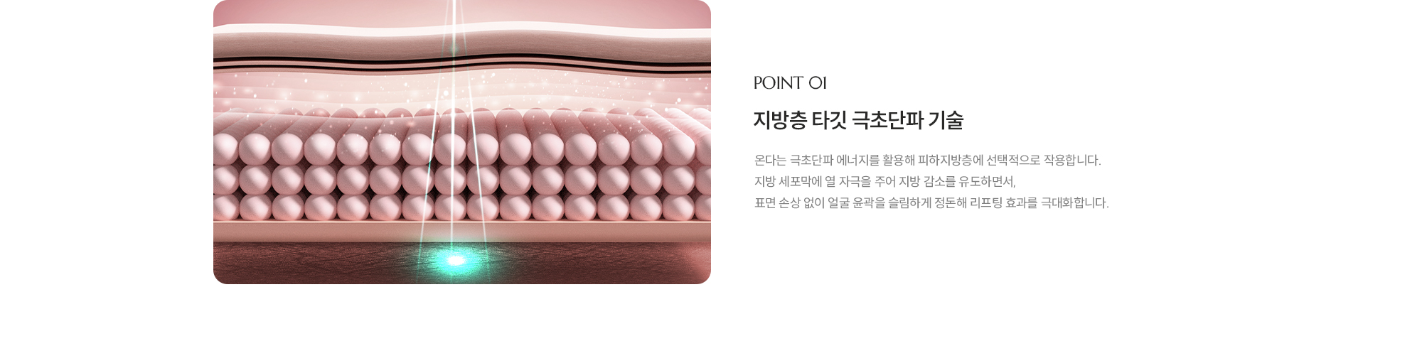 [POINT 01] [지방층 타겟 극초단파 리프팅] 온다는 극초단파 에너지를 활용해 피하지방층에 선택적으로 작용합니다. 지방 세포막에 열 자극을 주어 지방 감소를 유도하면서, 표면 손상 없이 얼굴 윤곽을 슬림하게 정돈해 리프팅 효과를 극대화합니다.