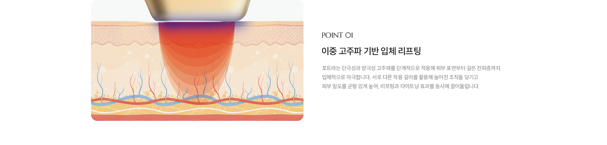 [POINT 01] [정밀한 고주파 에너지 전달] 포트라는 4MHz의 고효율 고주파 에너지를 피부 속 깊은 진피층까지 정확하게 전달합니다. 에너지가 분산되지 않고 타깃 층에 집중되어 콜라겐 재생을 강력하게 유도하며, 보다 확실한 리프팅 및 타이트닝 효과를 제공합니다.