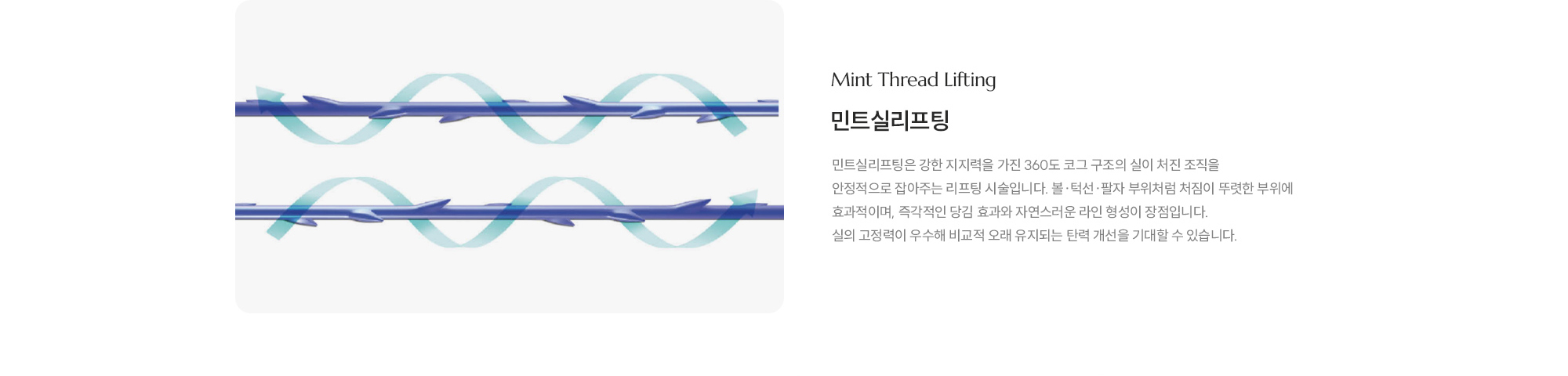[민트실리프팅] 민트실리프팅은 강한 지지력을 가진 360도 코그 구조의 실이 처진 조직을 안정적으로 잡아주는 리프팅 시술입니다. 볼·턱선·팔자 부위처럼 처짐이 뚜렷한 부위에 효과적이며, 즉각적인 당김 효과와 자연스러운 라인 형성이 장점입니다. 실의 고정력이 우수해 비교적 오래 유지되는 탄력 개선을 기대할 수 있습니다.