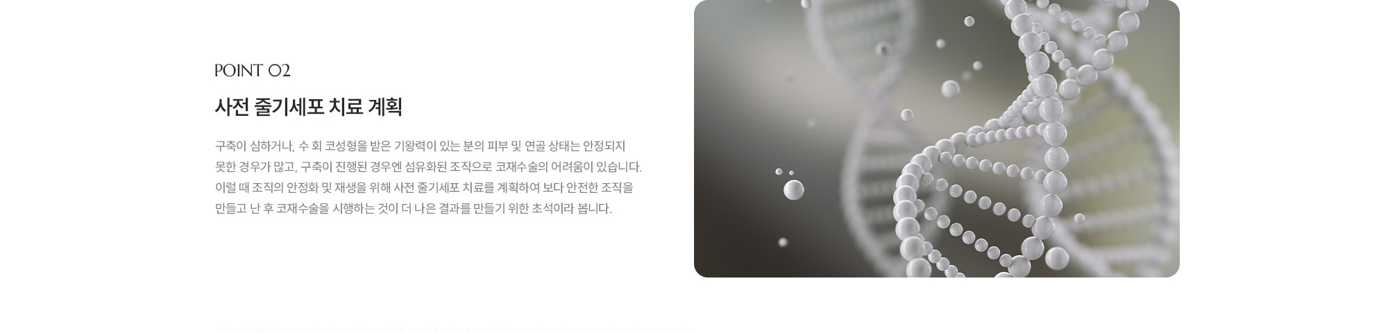 [POINT 02] 사전 줄기세포 치료 계획 : 구축이 심하거나, 수 회 코성형을 받은 기왕력이 있는 분의 피부 및 연골 상태는 안정되지 못한 경우가 많고, 구축이 진행된 경우엔 섬유화된 조직으로 코재수술의 어려움이 있습니다. 이럴 때 조직의 안정화 및 재생을 위해 사전 줄기세포 치료를 계획하여 보다 안전한 조직을 만들고 난 후 코재수술을 시행하는 것이 더 나은 결과를 만들기 위한 초석이라 봅니다.